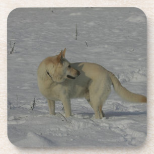 Porta-copo German shepherd branco na neve