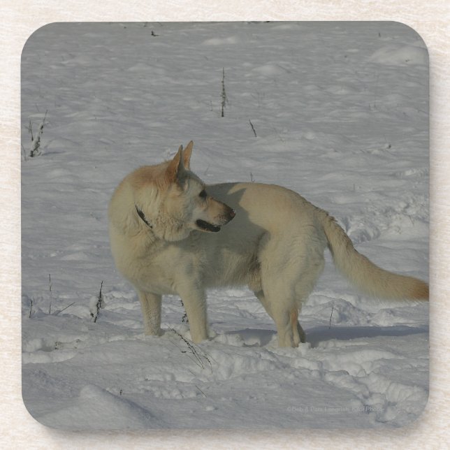 Porta-copo German shepherd branco na neve (Frente)