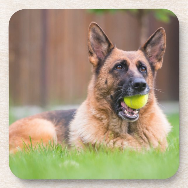 Porta-copo German shepherd Com Bola De Tênis (Frente)