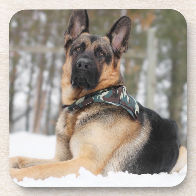Porta-copo German shepherd Na Neve (Frente)