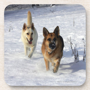 Porta-copo German shepherd que funcionam na neve
