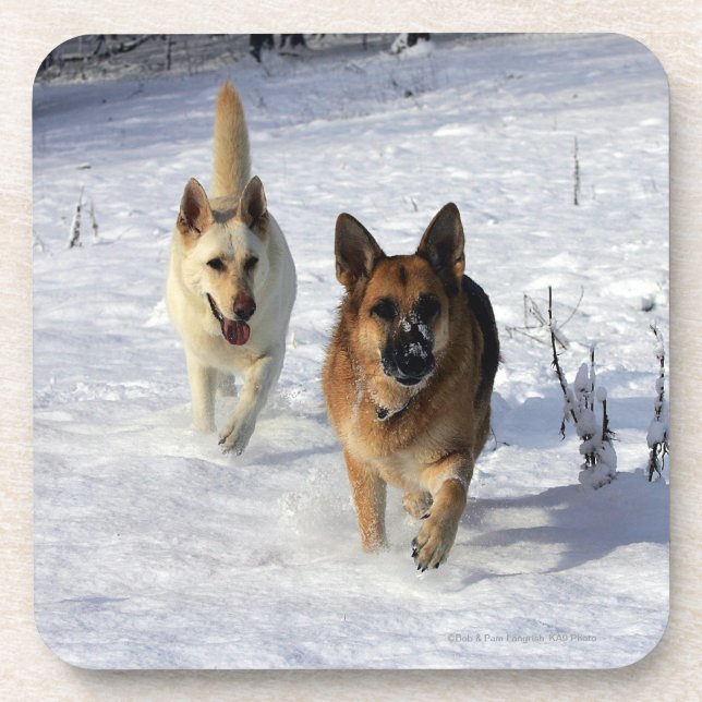 Porta-copo German shepherd que funcionam na neve (Frente)