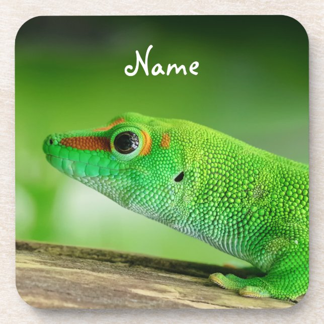 Porta-copo Giant Green Day Gecko - Phelsuma grandis (Frente)