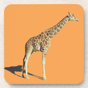 Porta-copo Girafa