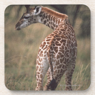 Porta-copo Girafa 2 de Massai