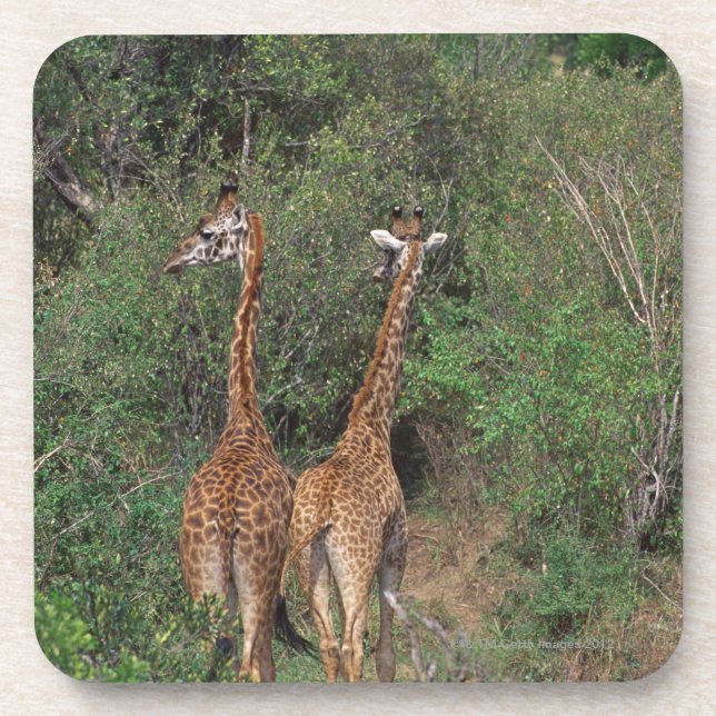 Porta-copo Girafa 3 de Massai (Frente)