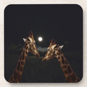 Porta-copo Girafa Amor Ao Luar,
