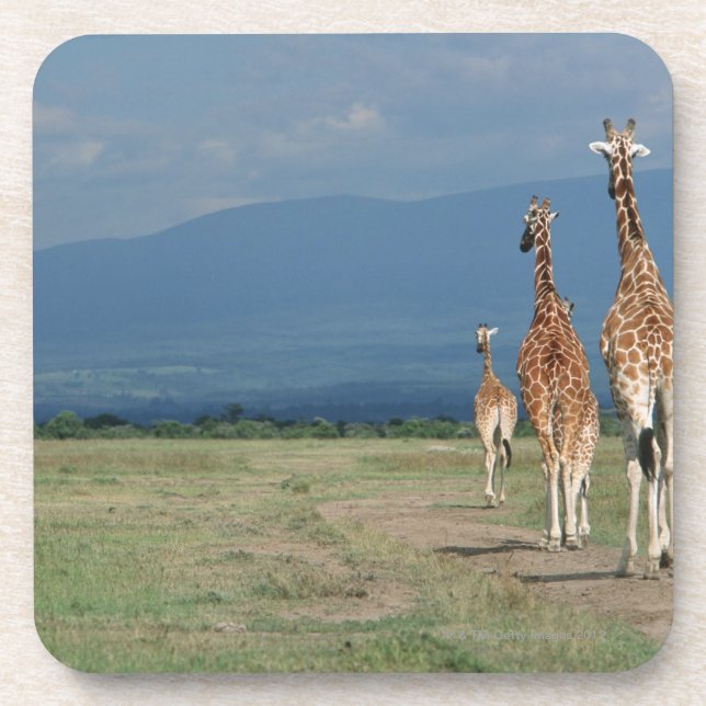 Porta-copo Girafa Reticulated (camelopardalis do Giraffa) 2 (Frente)