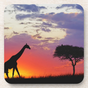 Porta-copo Girafa silhuetada ao nascer do sol, Giraffa