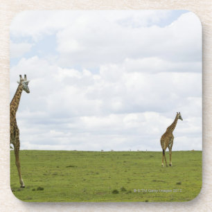 Porta-copo Girafas em Kenya, África