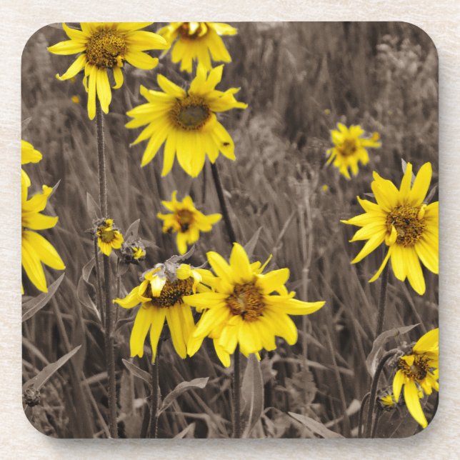 Porta-copo Girassol na Montanha Rochosa (Frente)