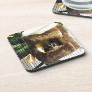 Porta-copo Glider de Açúcar na Cama do Caminhão de Árvore Fur