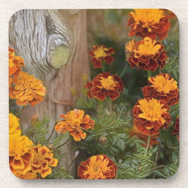 Porta-copo Glorioso Marigolds (Frente)