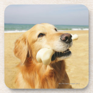 Porta-copo Golden retriever que come o osso
