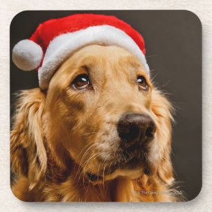 Porta-copo Golden retriever que levanta para seu Natal