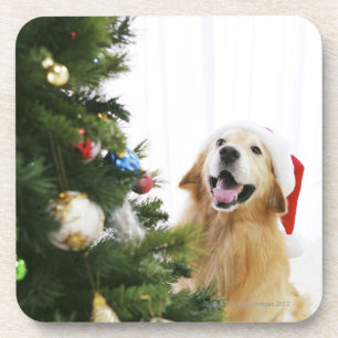 Porta-copo Golden retriever que olha a árvore de Natal