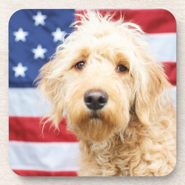 Porta-copo Goldendoodle com bandeira americana (Frente)