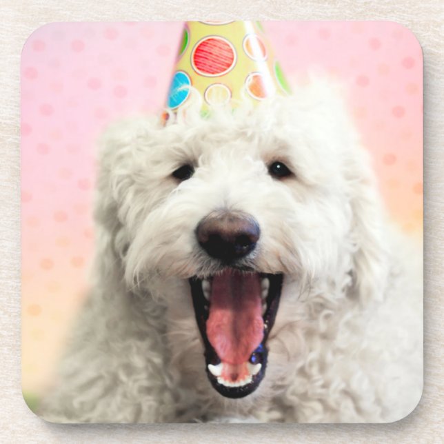 Porta-copo Goldendoodle com chapéu de festa (Frente)