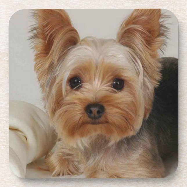 Porta-copo Gorgeous Yorkshire Terrier (Frente)