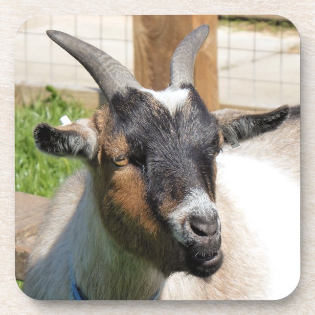 PORTA-COPO GOTA (Frente)