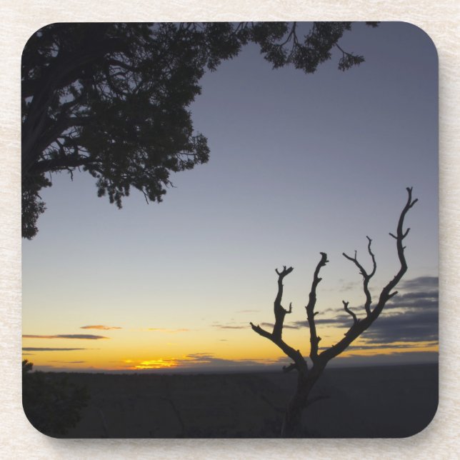 Porta-copo Grand Canyon Sunset Cork (Frente)