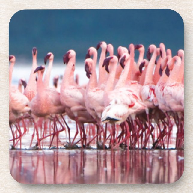 Porta-copo Grande Grupo De Menores Flamingos (Frente)