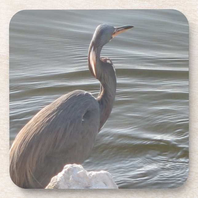 Porta-copo Great Blue Heron by the Water (Frente)
