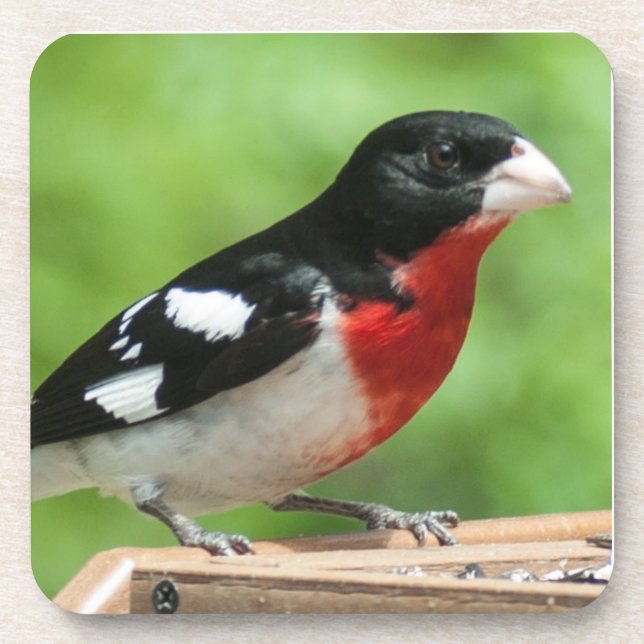 Porta-copo Grosbeak de peito rosa (Frente)