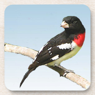 Porta-copo Grosbeak do Rosa-Breasted