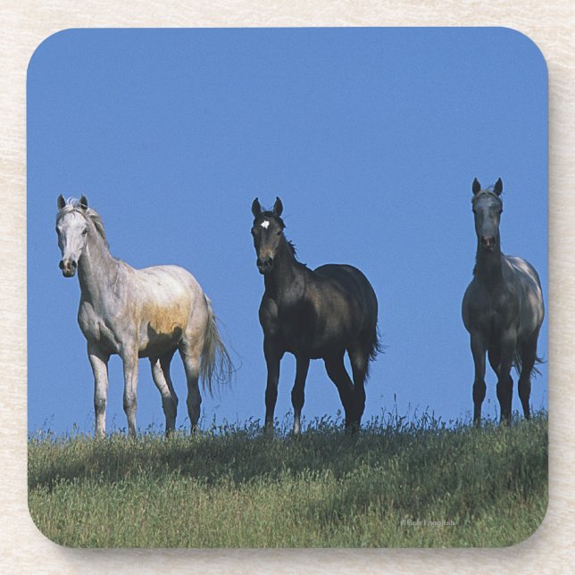 Porta-copo Grupo de árabes (Frente)