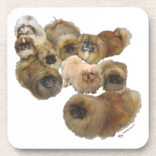 Porta-copo Grupo de Pekingese