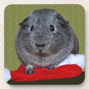 Porta-copo Guiné Pig Christmas