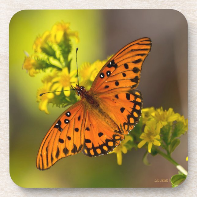 Porta-copo Gulf Fritillary também conhecida como Borboleta da (Frente)