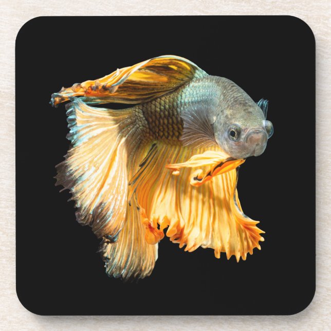 Porta-copo Halfmoon Betta Fish (Frente)