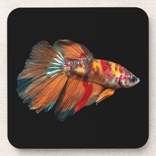 Porta-copo Halfmoon Betta Fish (Frente)