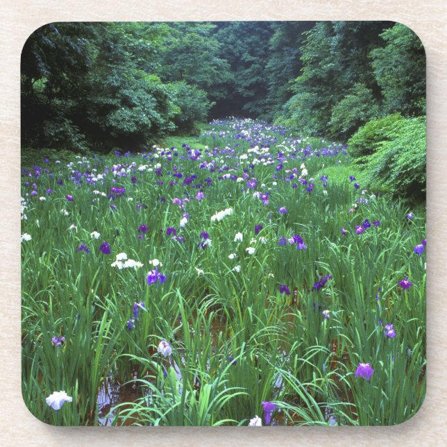 Porta-copo Hana Shobu (Japonês Water Iris), Santuário Meiji, (Frente)