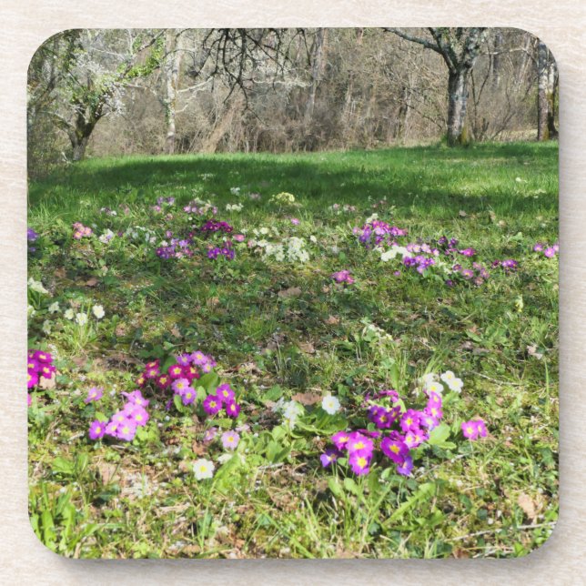 Porta-copo Harbinger de Primavera (Frente)