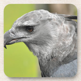 Porta-copo Harpy Eagle 2.JPG