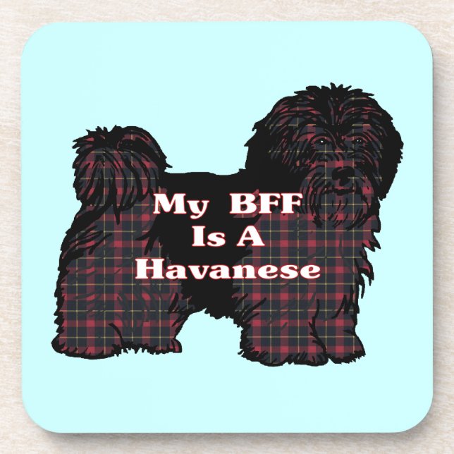 PORTA-COPO HAVANESE BFF (Frente)
