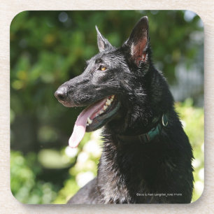 Porta-copo Headshot 2 do german shepherd