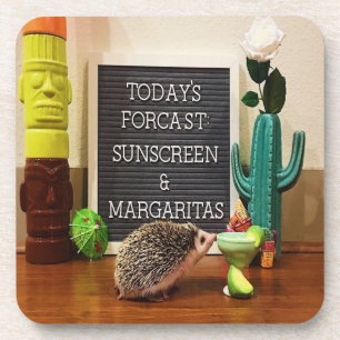 Porta-copo Hedgehog Sunscreen e Margaritas