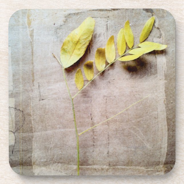 Porta-copo Herbário V (Frente)