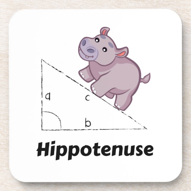 Porta-copo Hippotenuse Engraçado Math (Frente)