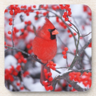 Porta-copo Homem cardinal do norte, inverno, IL