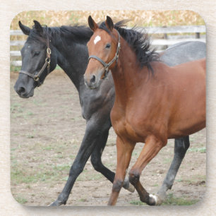 Porta-copo Horse Play