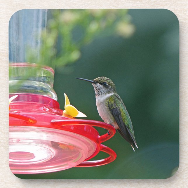 Porta-copo Hummingbird (Frente)