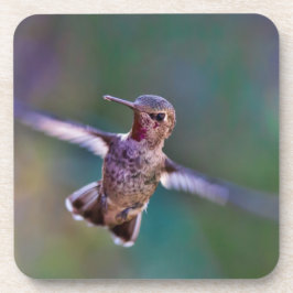 Porta-copo Hummingbird