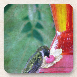 Porta-copo Hummingbird no alimentador