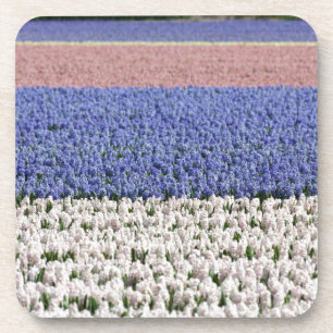 Porta-copo Hyacinth Field