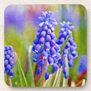 Porta-copo Hyacintos de Uva
